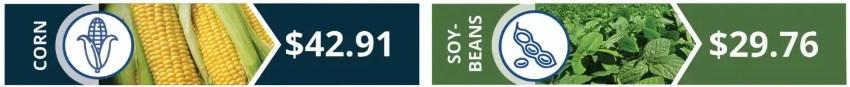 Infographic of payements for corn and soybean crops